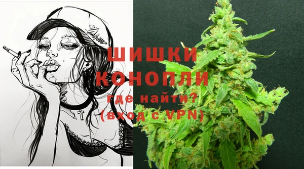 ГАЛЛЮЦИНОГЕННЫЕ ГРИБЫ Пересвет