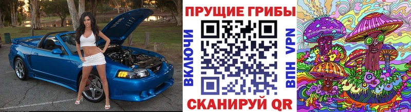 Псилоцибиновые грибы ЛСД  MEGA онион  Покачи 